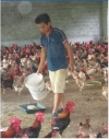 Mô hình tiêu biểu làm kinh tế giỏi trong Câu lạc bộ trang trại trẻ xã Yên Mông
